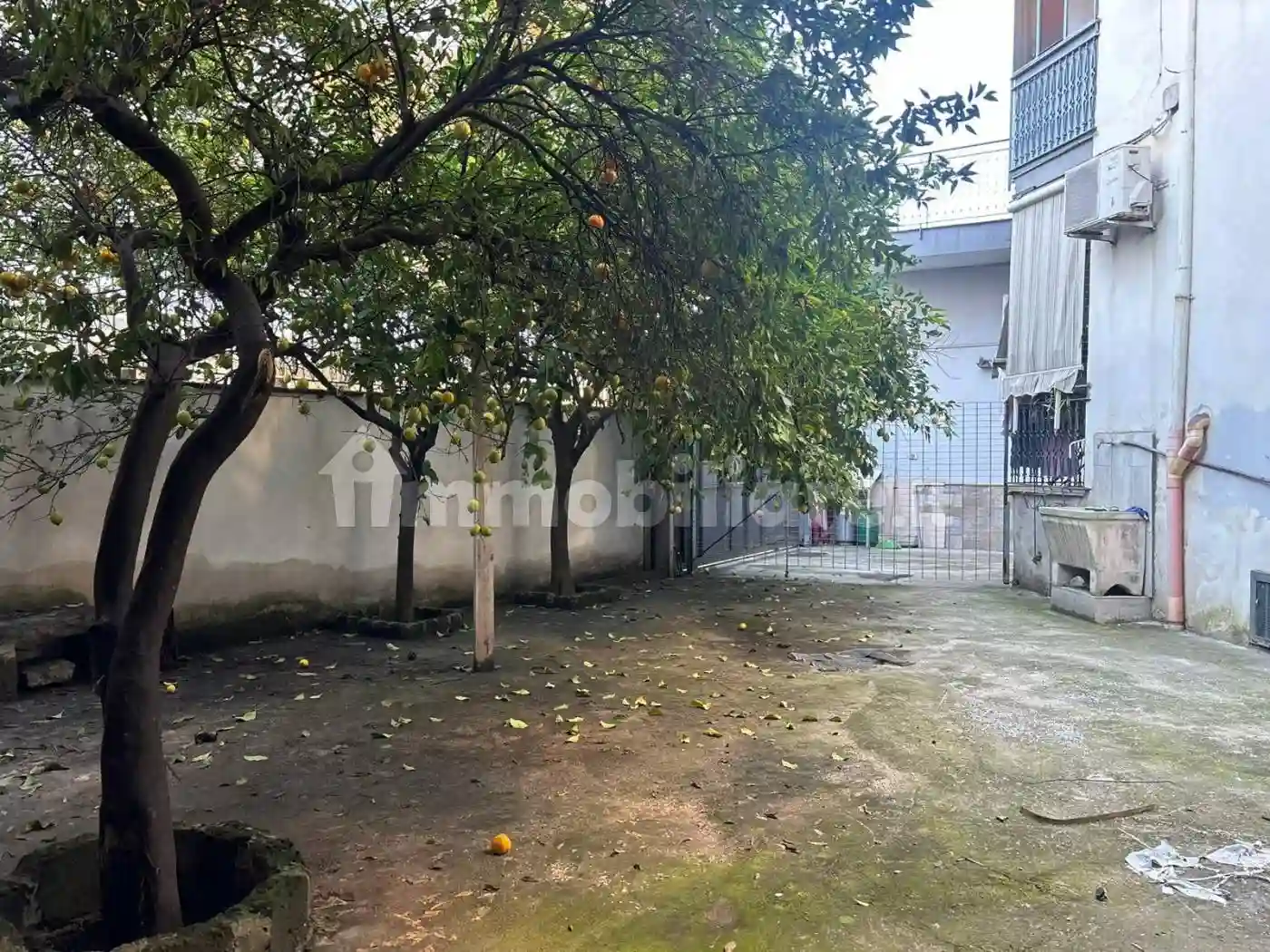 Palazzo - Edificio - foto 2