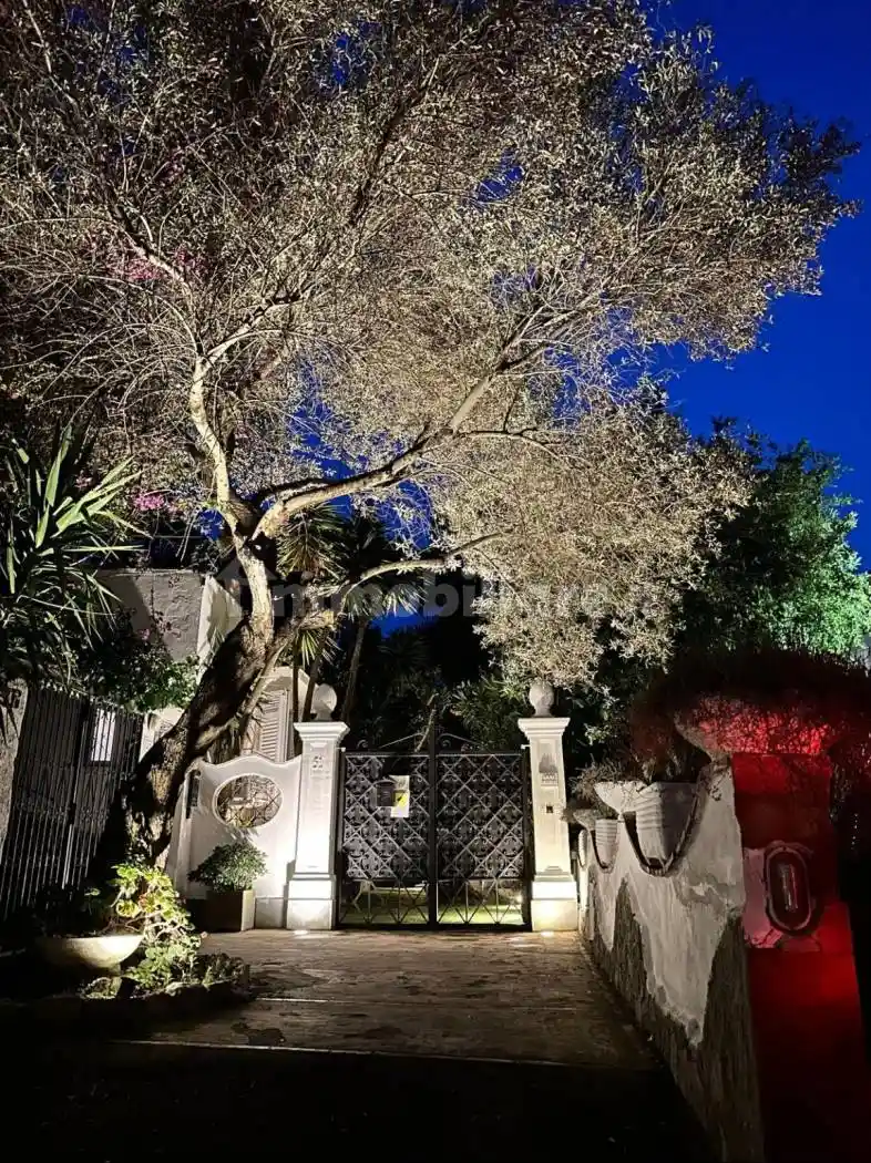 Villa in affitto a Anacapri