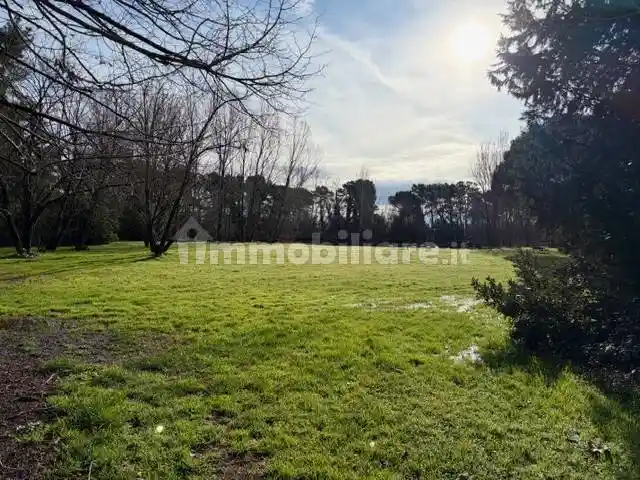 Appartamento in affitto a Vecchiano