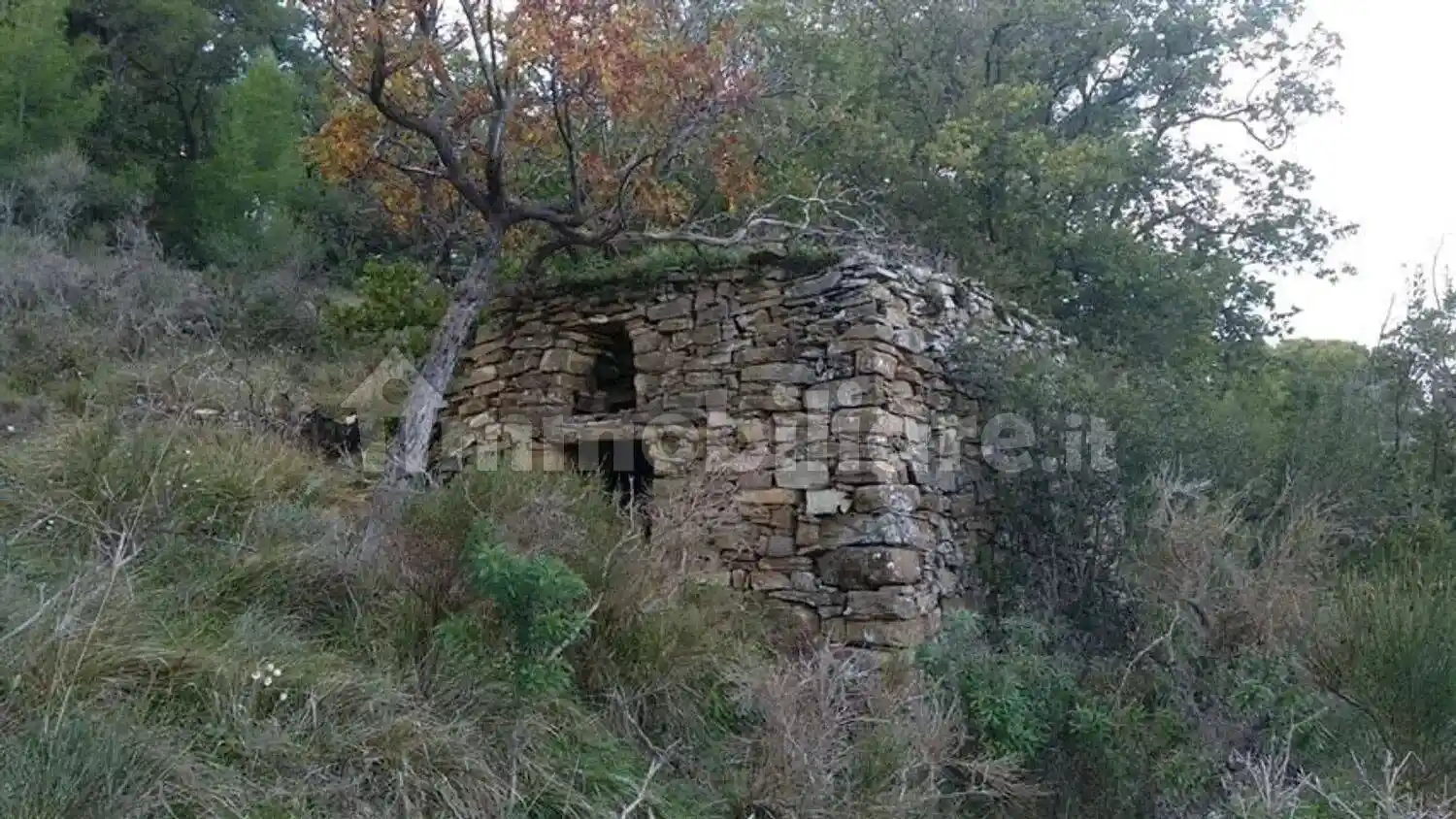 Rustico - Casale in vendita a Costarainera