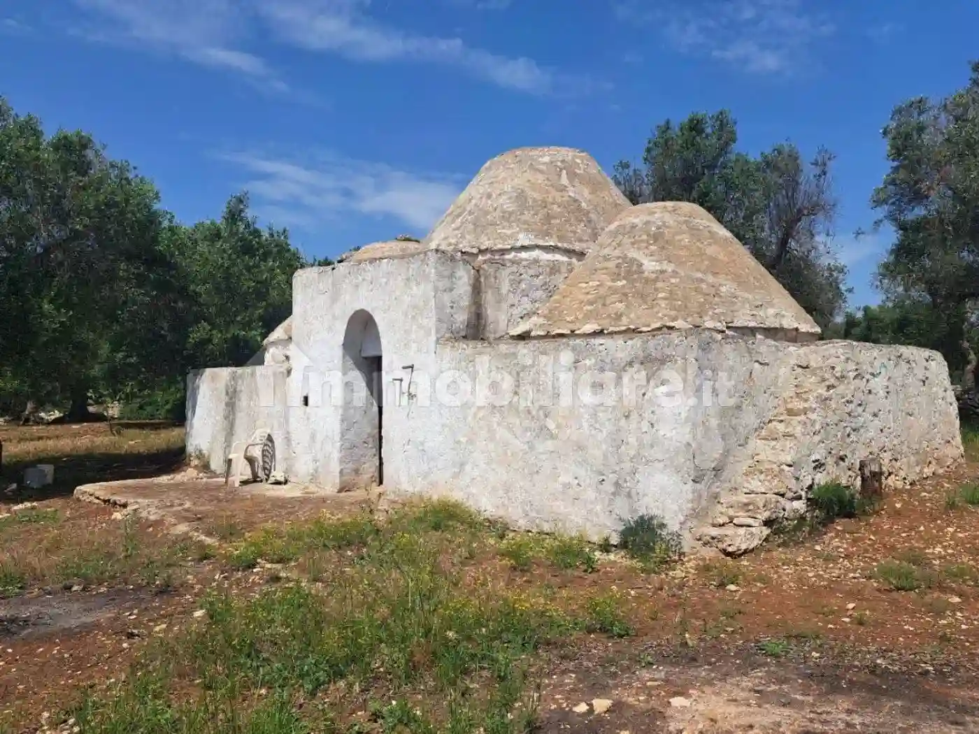 Rustico - Casale - foto 3