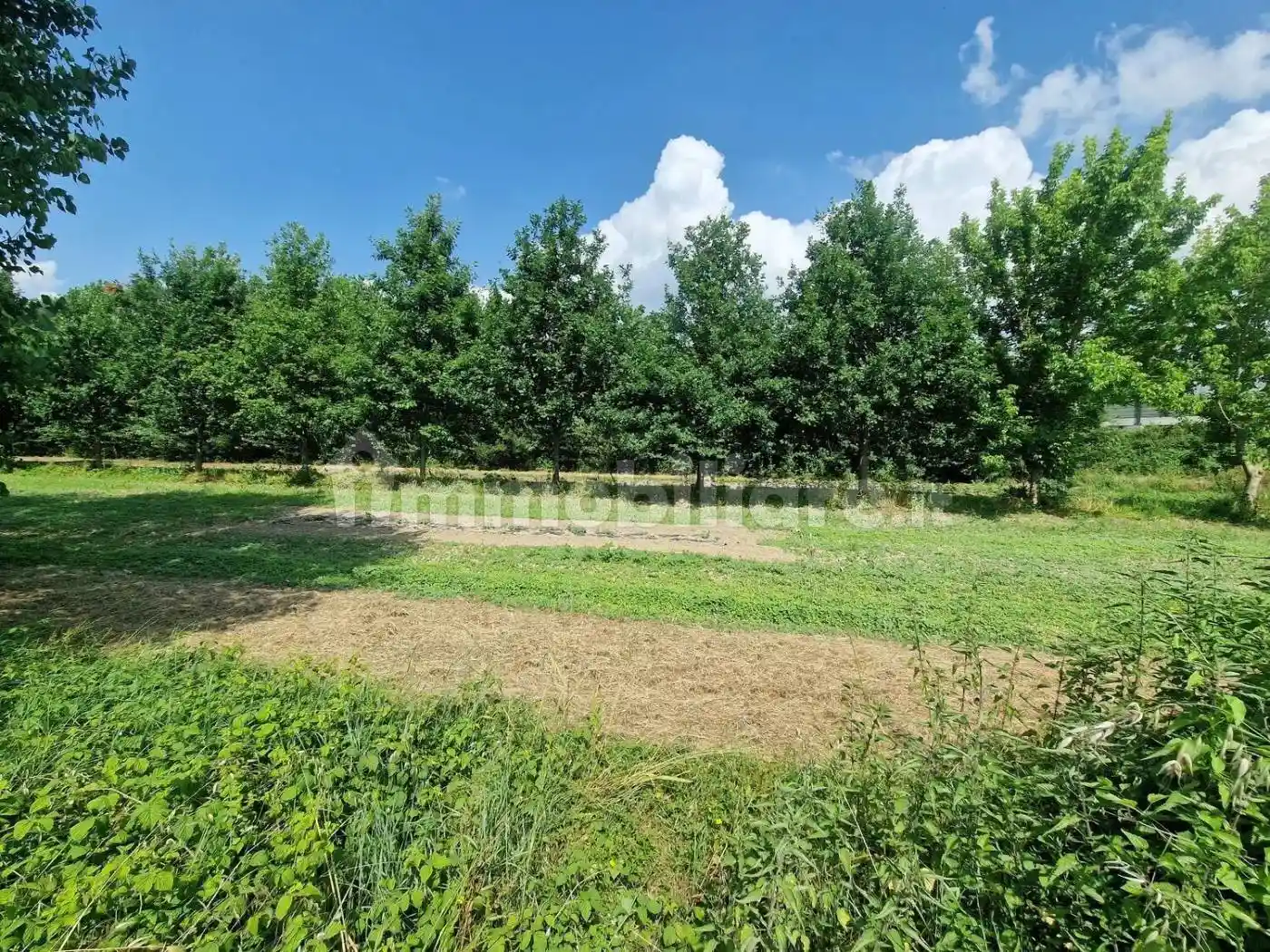 Villa in vendita a Ponte Buggianese