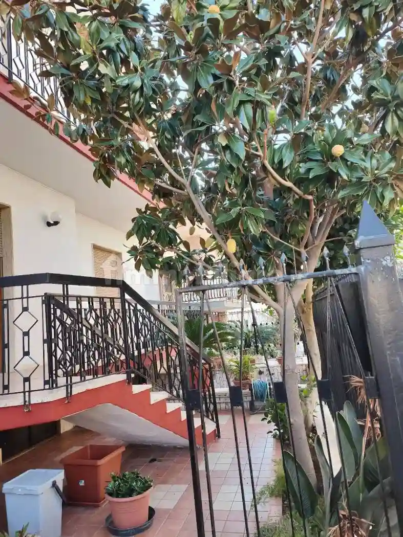 Palazzo - Edificio - foto 5