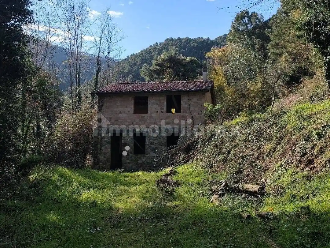 Rustico - Casale in vendita a Capannori