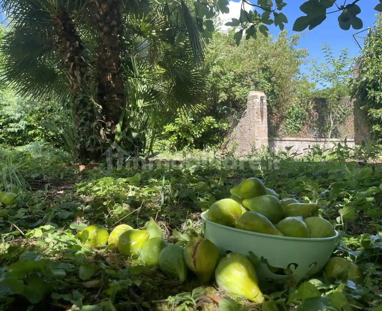 Villa in vendita a Ronciglione