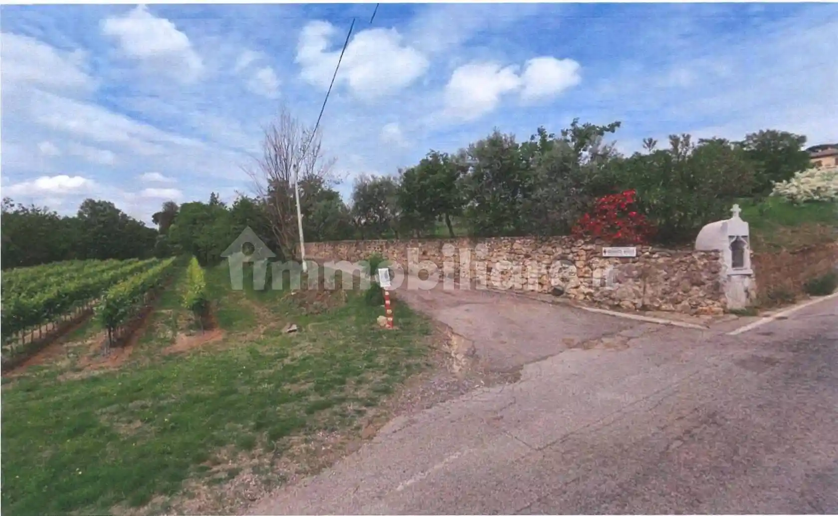 Rustico - Casale in vendita a Alonte