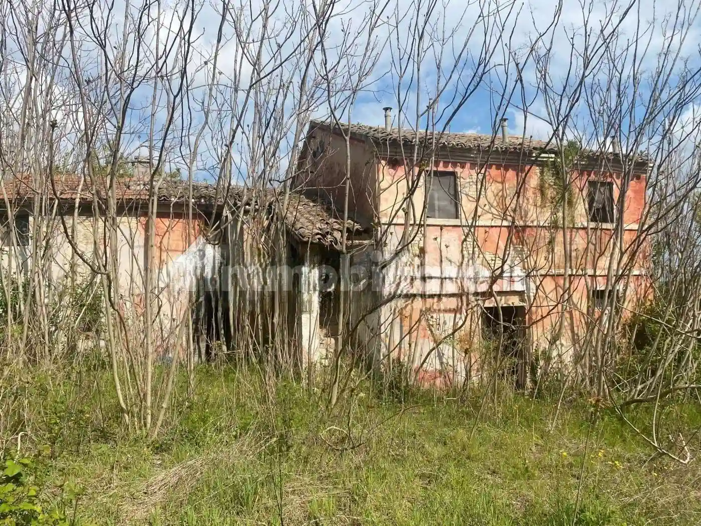 Rustico - Casale - foto 3