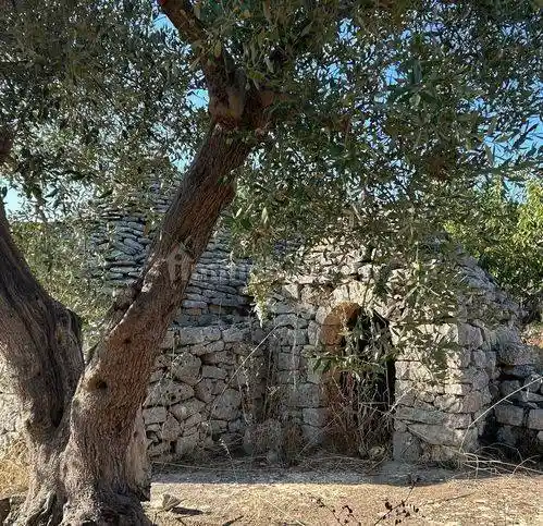 Rustico - Casale in vendita a Castellana Grotte