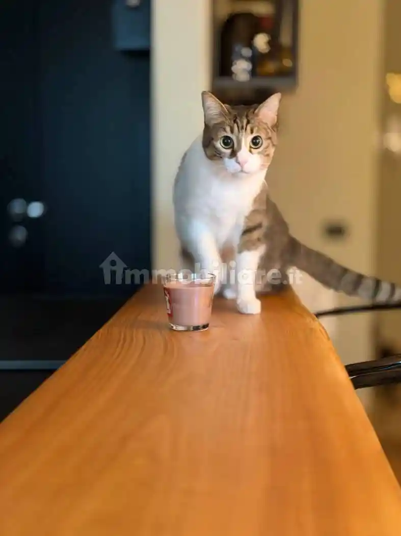 Appartamento in vendita a Farigliano