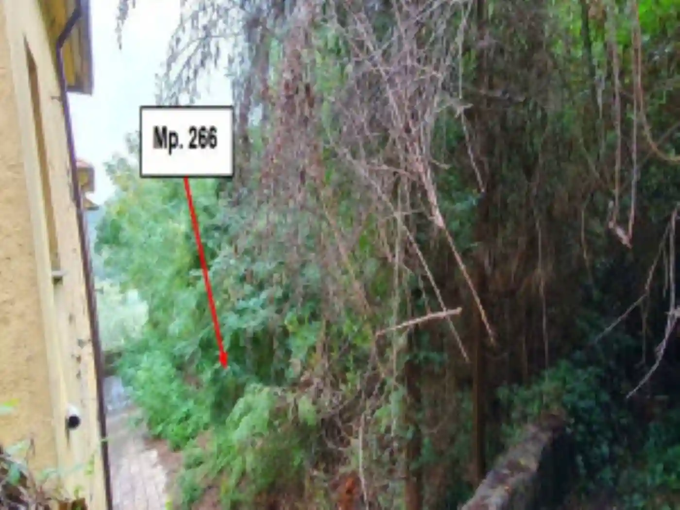 Palazzo - Stabile - foto 4