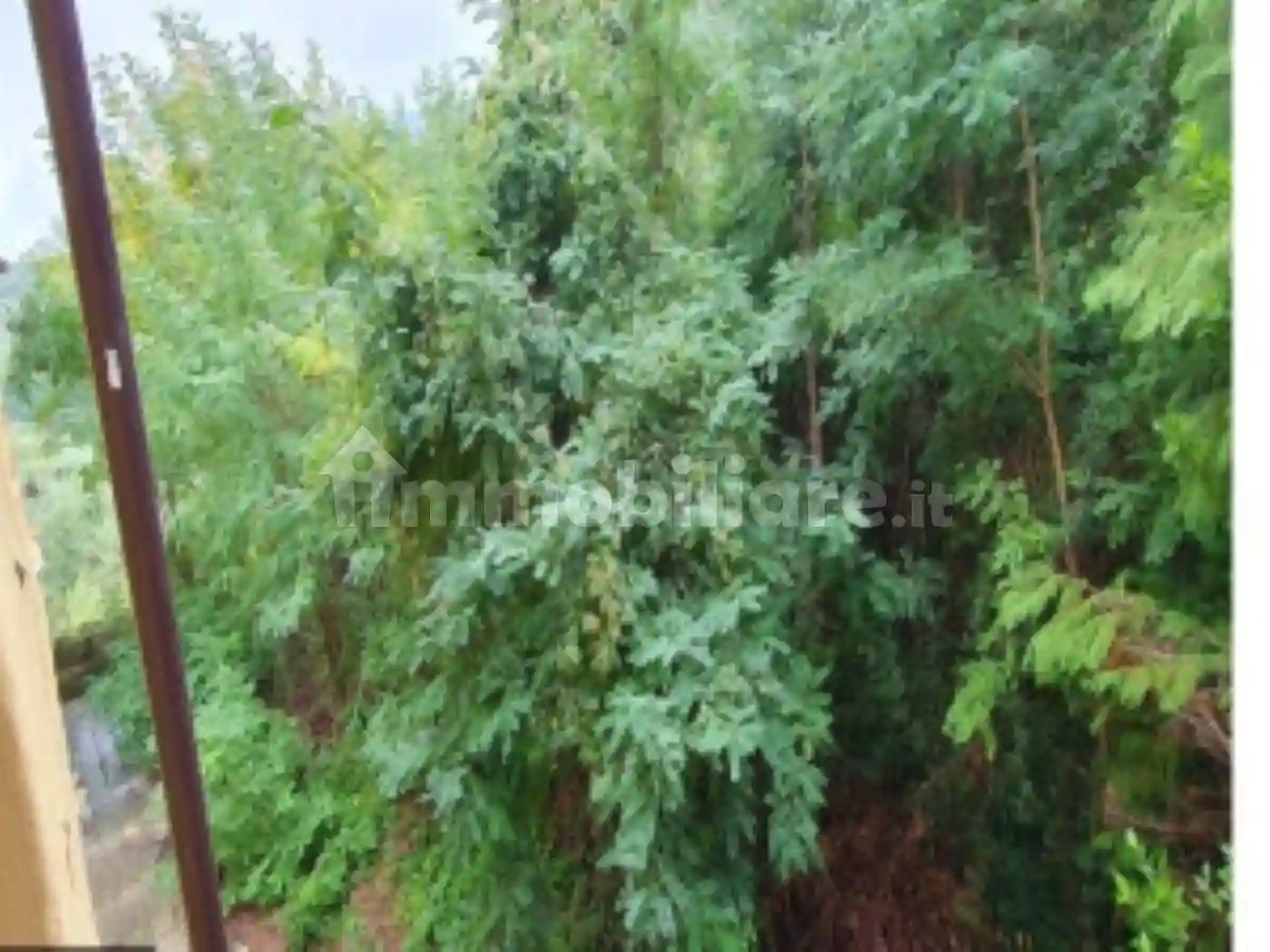 Palazzo - Stabile - foto 5