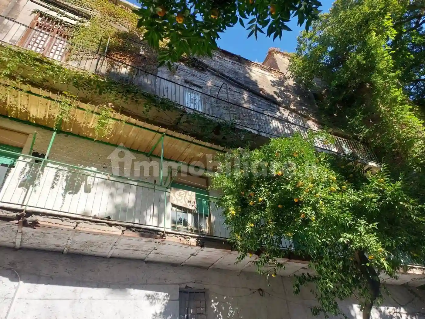 Palazzo - Edificio - foto 5