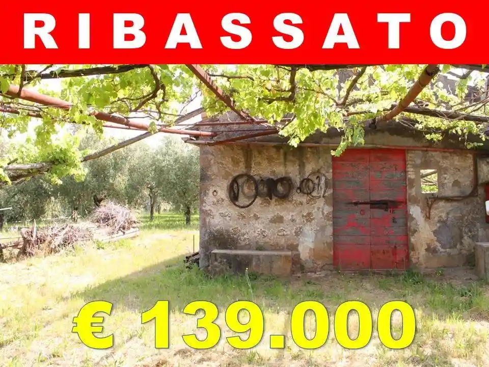 Rustico - Casale in vendita a Zagarolo