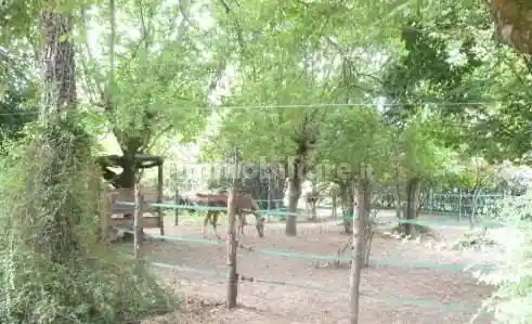 Appartamento in vendita a Concamarise