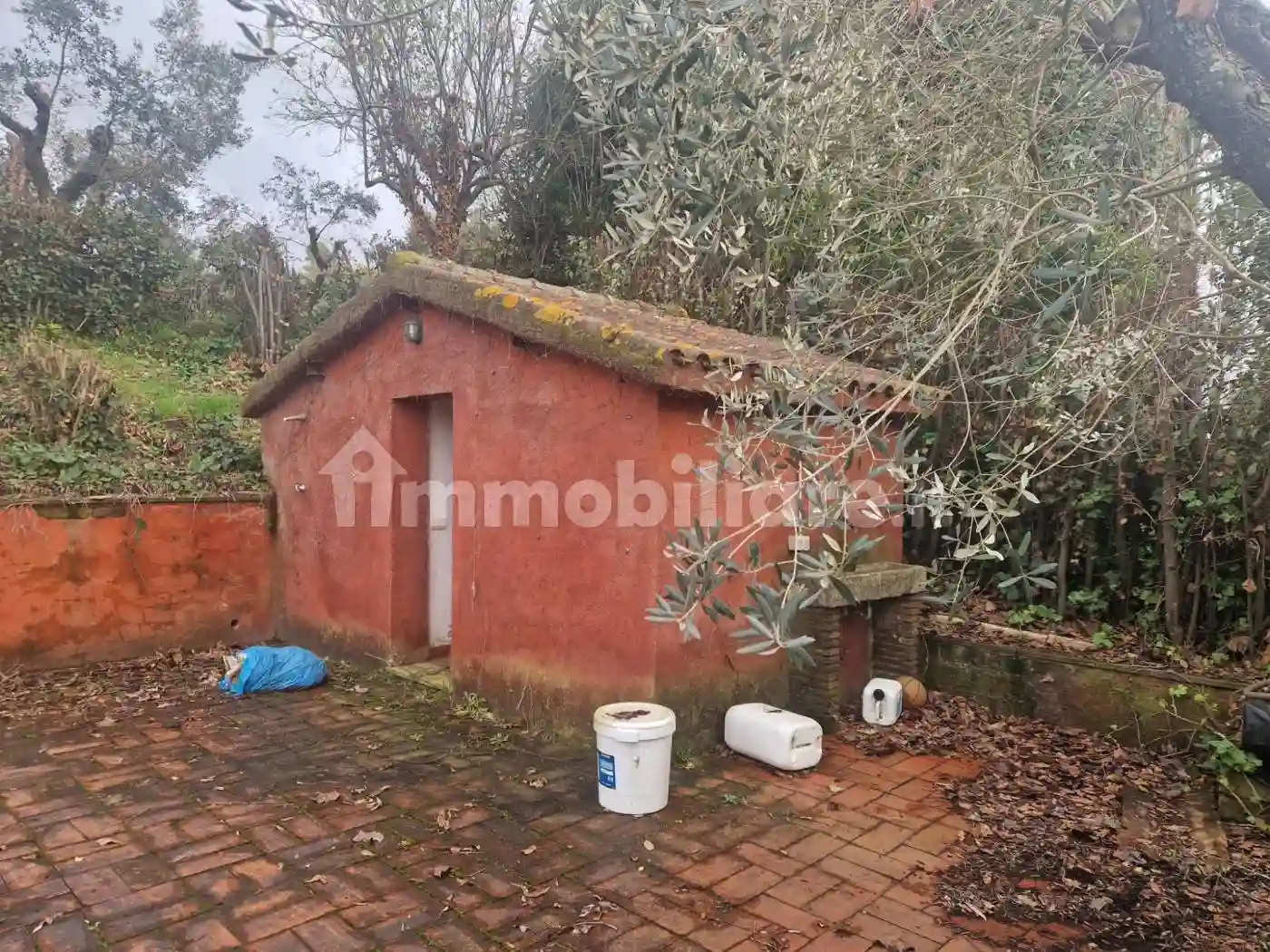 Rustico - Casale - foto 3