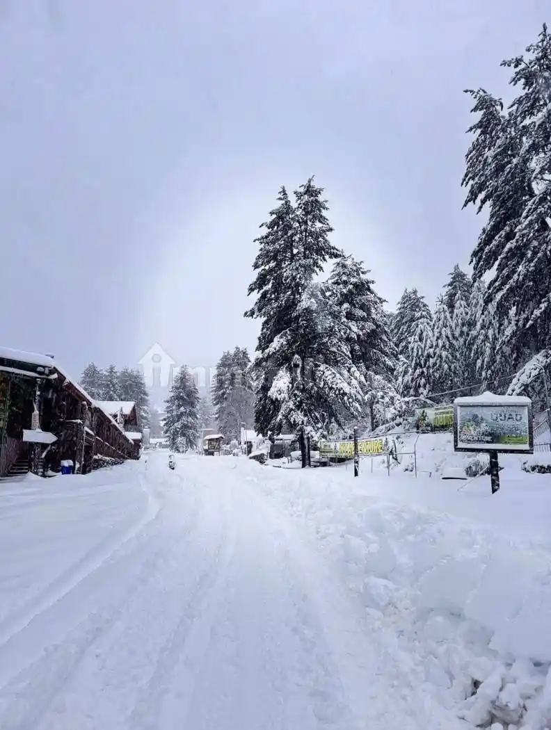 Appartamento in affitto a Cotronei