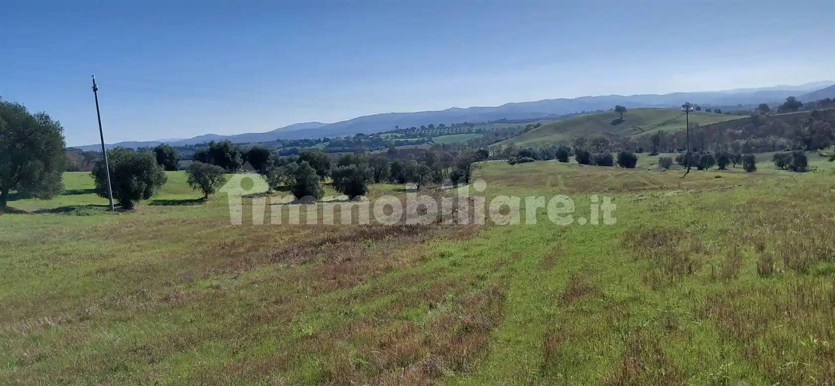 Rustico - Casale in vendita a Scansano