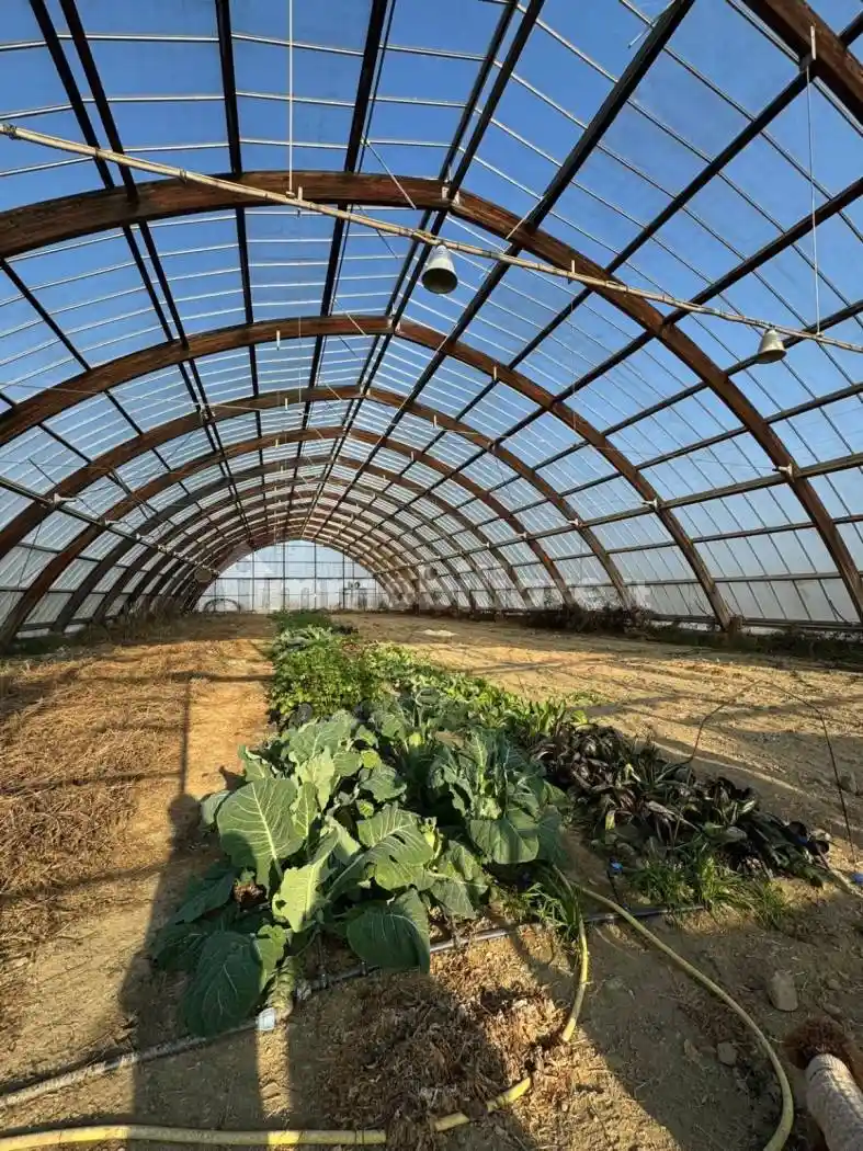 Villa in vendita a Castellazzo Bormida