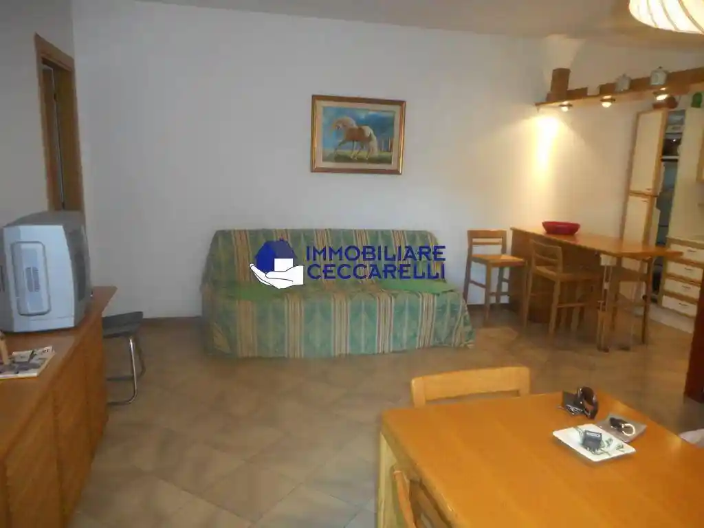 Appartamento in affitto a Massa