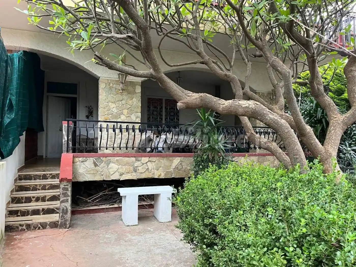 Villa in affitto a Palermo
