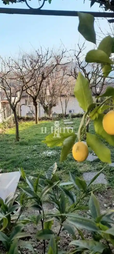Casa indipendente in vendita a Carmignano