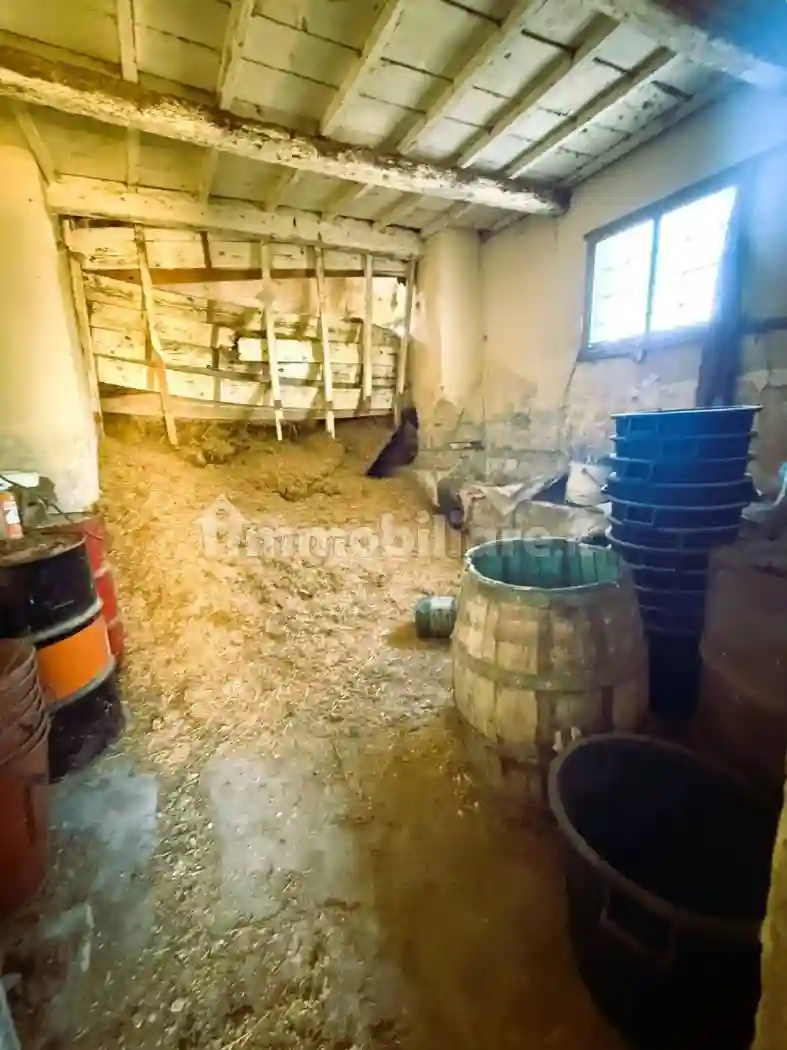 Palazzo - Edificio - foto 5