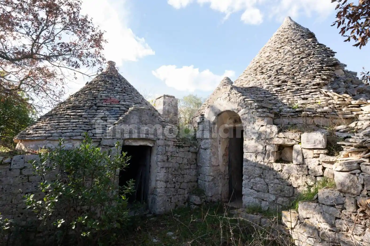 Rustico - Casale in vendita a Locorotondo