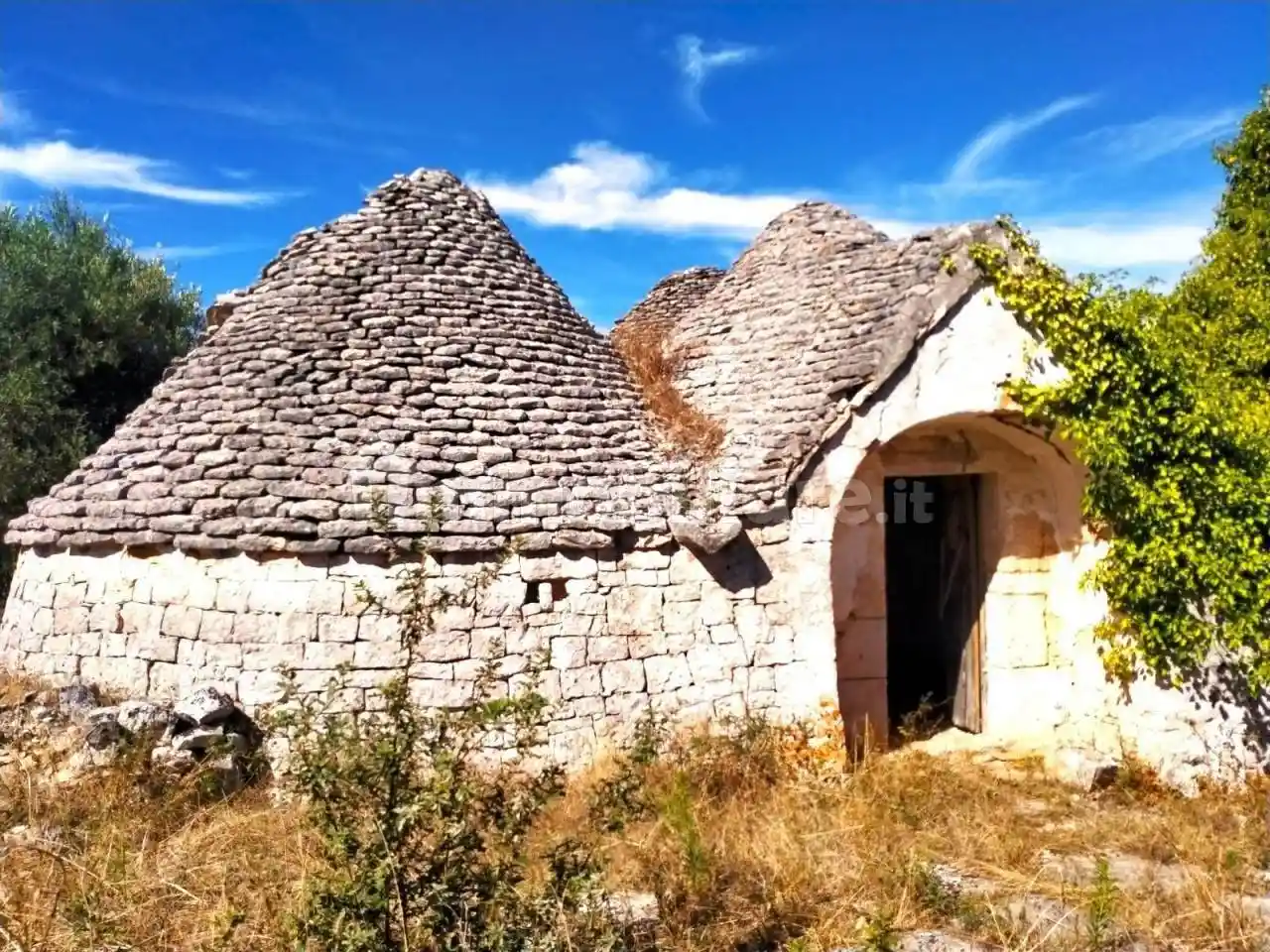 Rustico - Casale in vendita a Monopoli