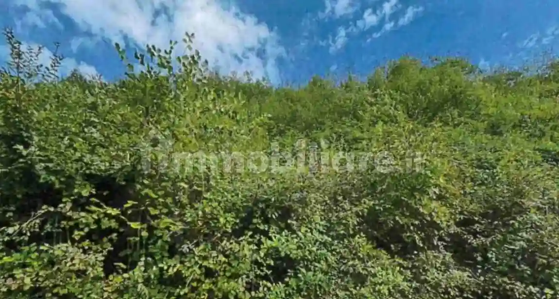 Palazzo - Stabile - foto 5