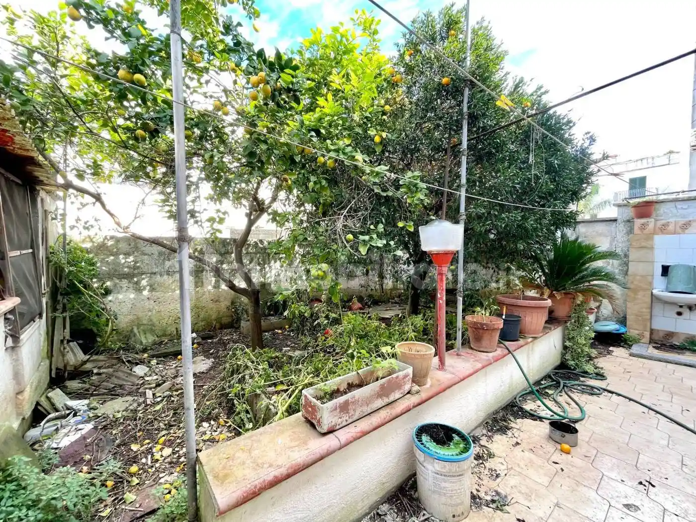 Casa indipendente in vendita a Presicce-Acquarica