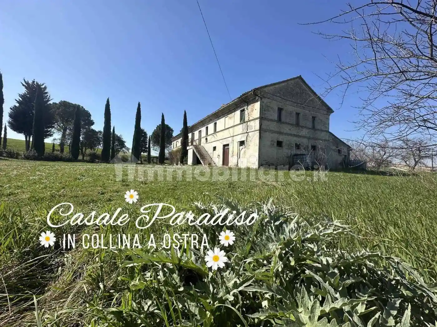 Rustico - Casale in vendita a Ostra