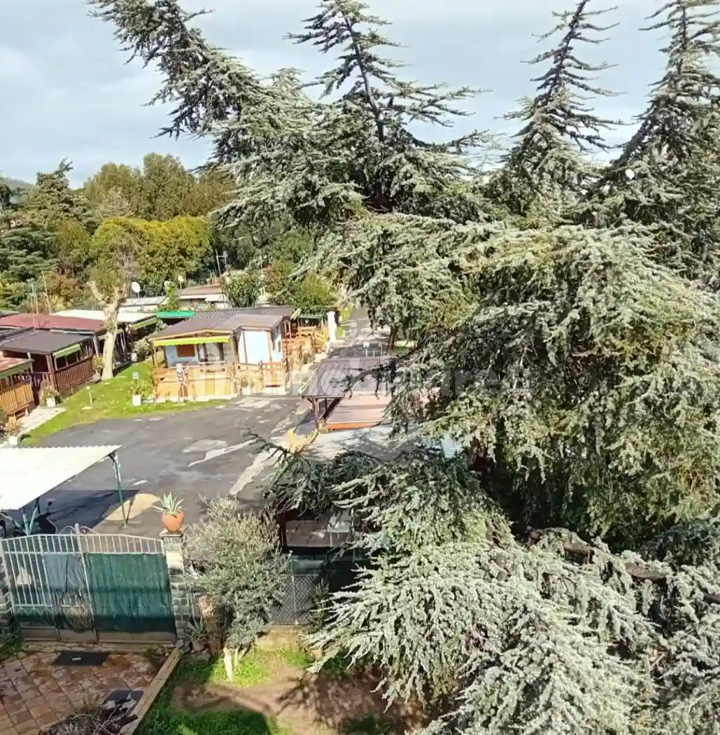 Palazzo - Edificio - foto 4