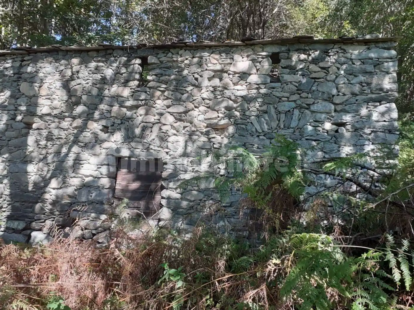 Rustico - Casale in vendita a Traona