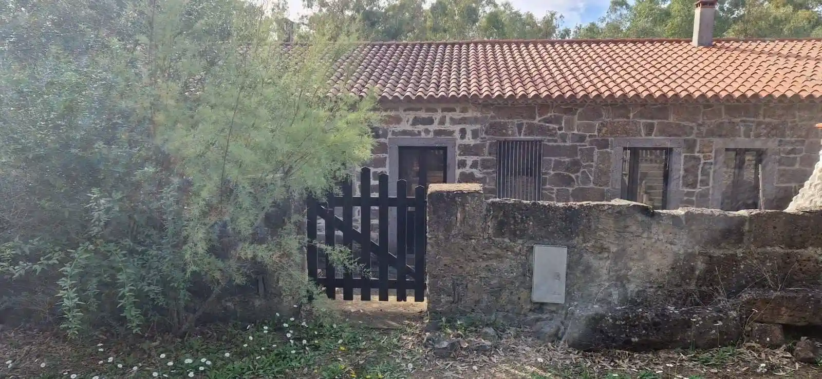 Rustico - Casale in vendita a Ghilarza