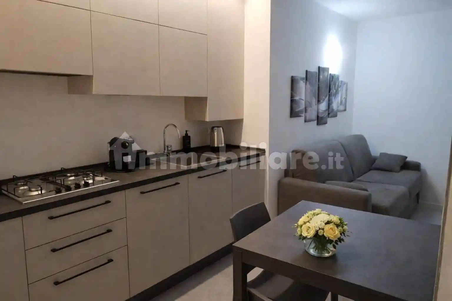 Appartamento in affitto a Torri del Benaco