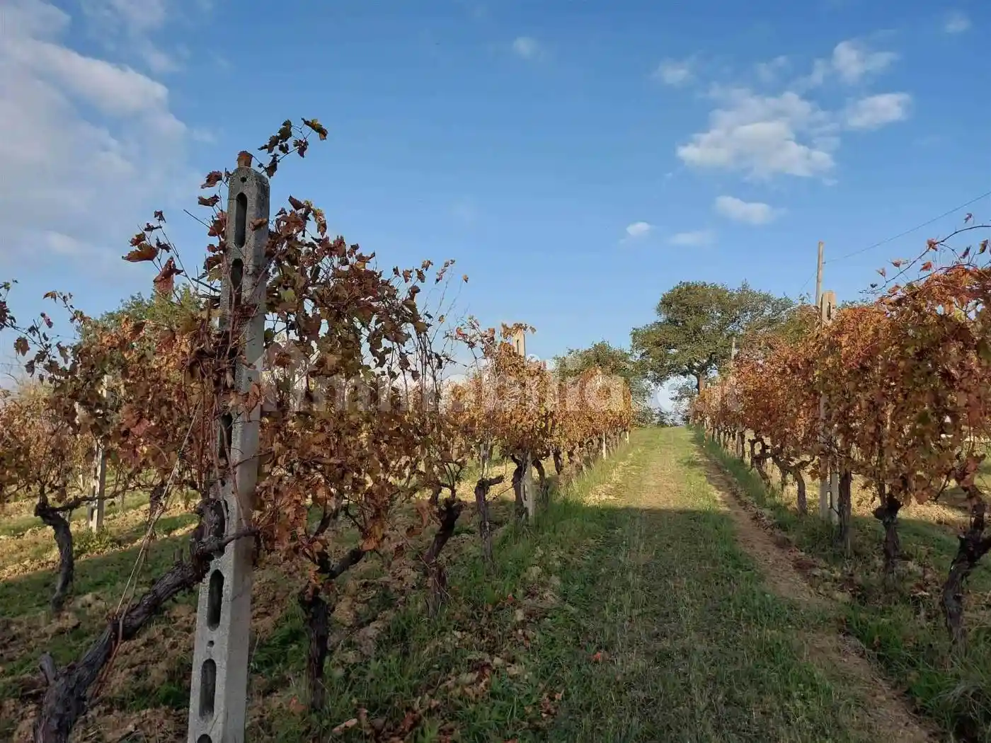 Rustico - Casale in vendita a Senigallia