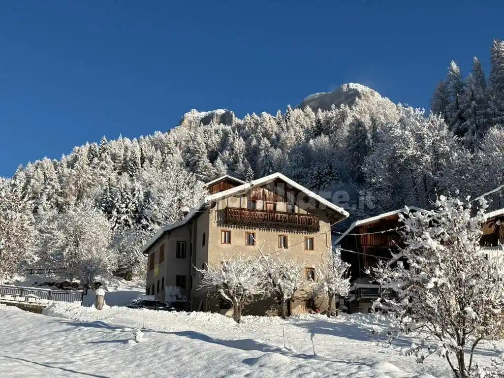 Palazzo - Edificio in vendita a Val di Zoldo