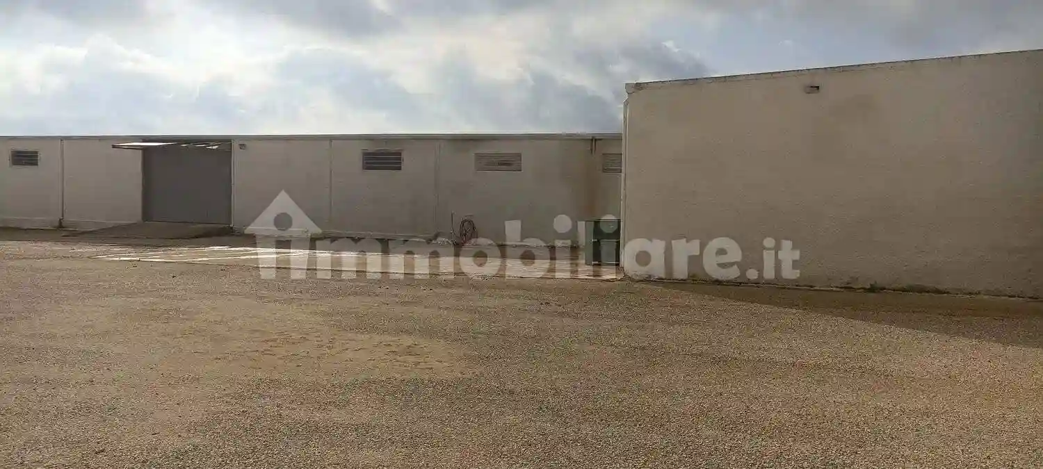 Palazzo - Edificio - foto 5