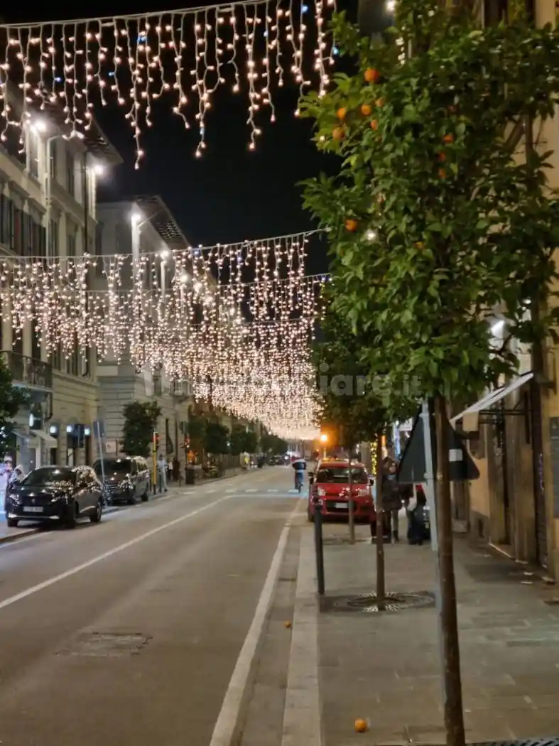 Appartamento in affitto a Firenze