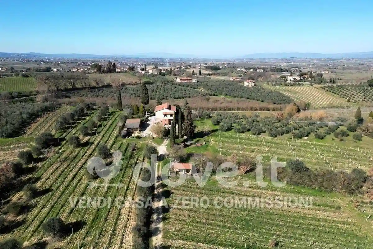 Rustico - Casale - foto 3