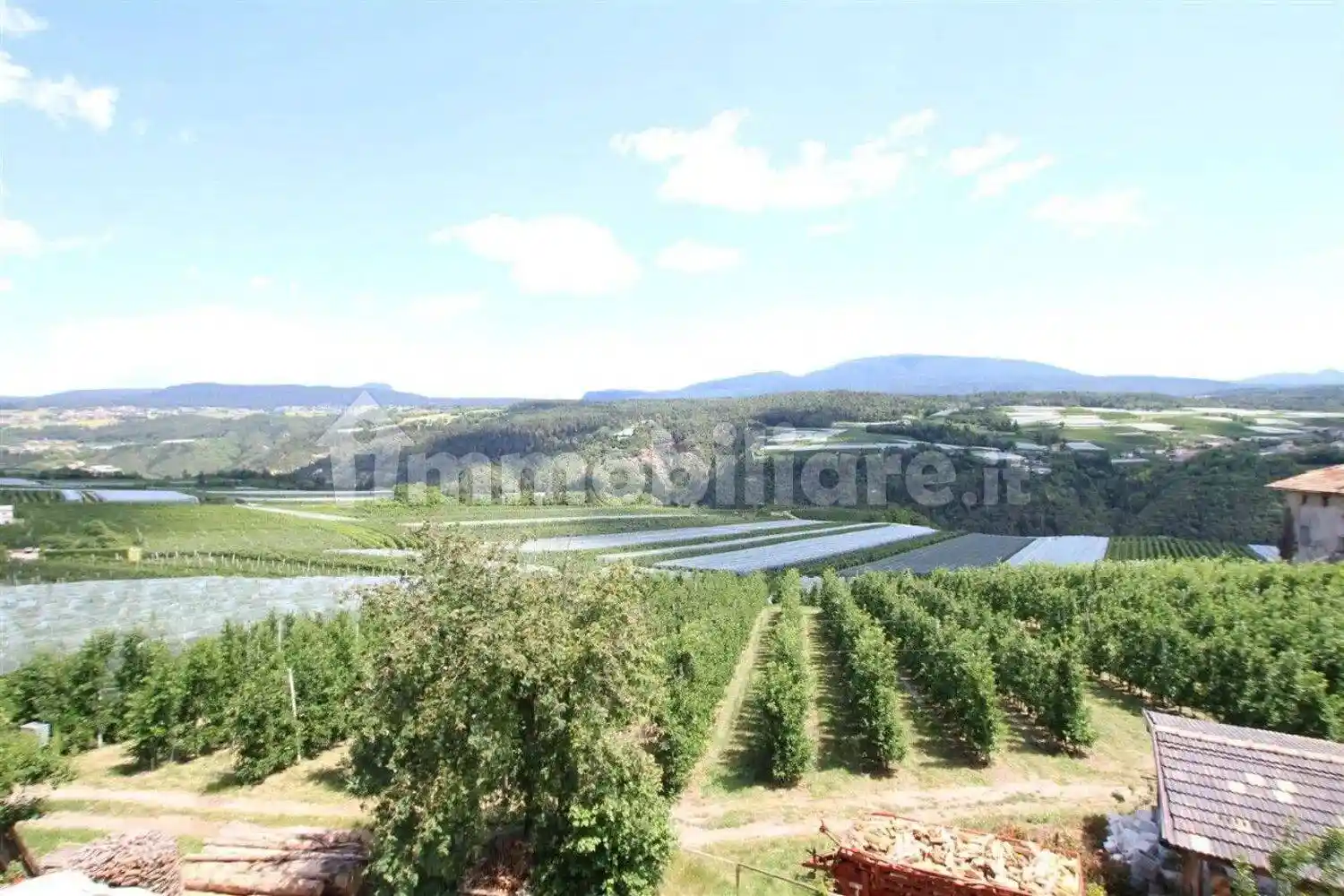 Appartamento in vendita a Novella