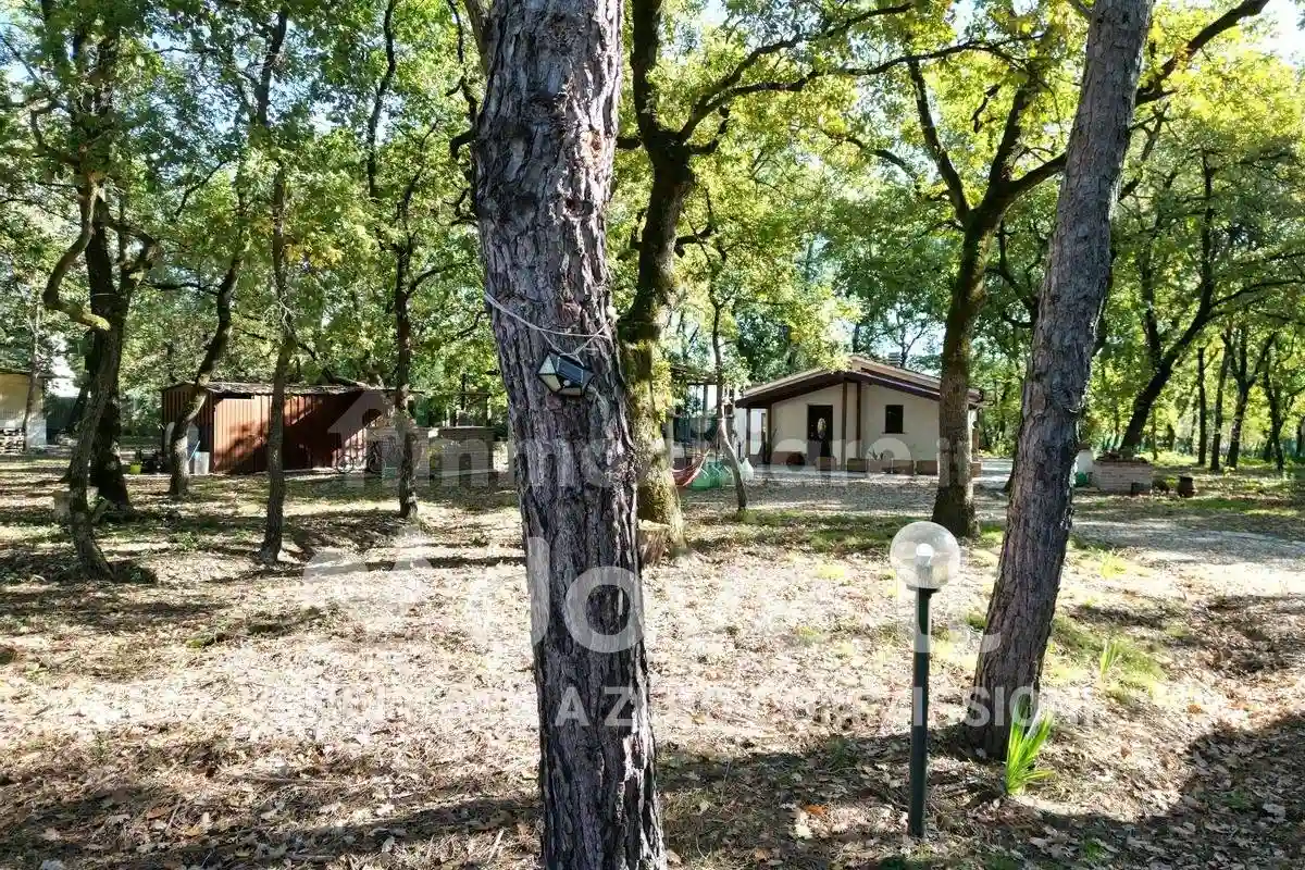 Rustico - Casale - foto 5