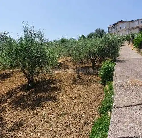 Rustico - Casale in vendita a Monreale