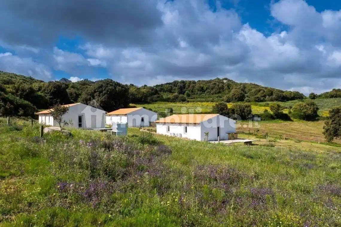 Rustico - Casale in vendita a Luogosanto