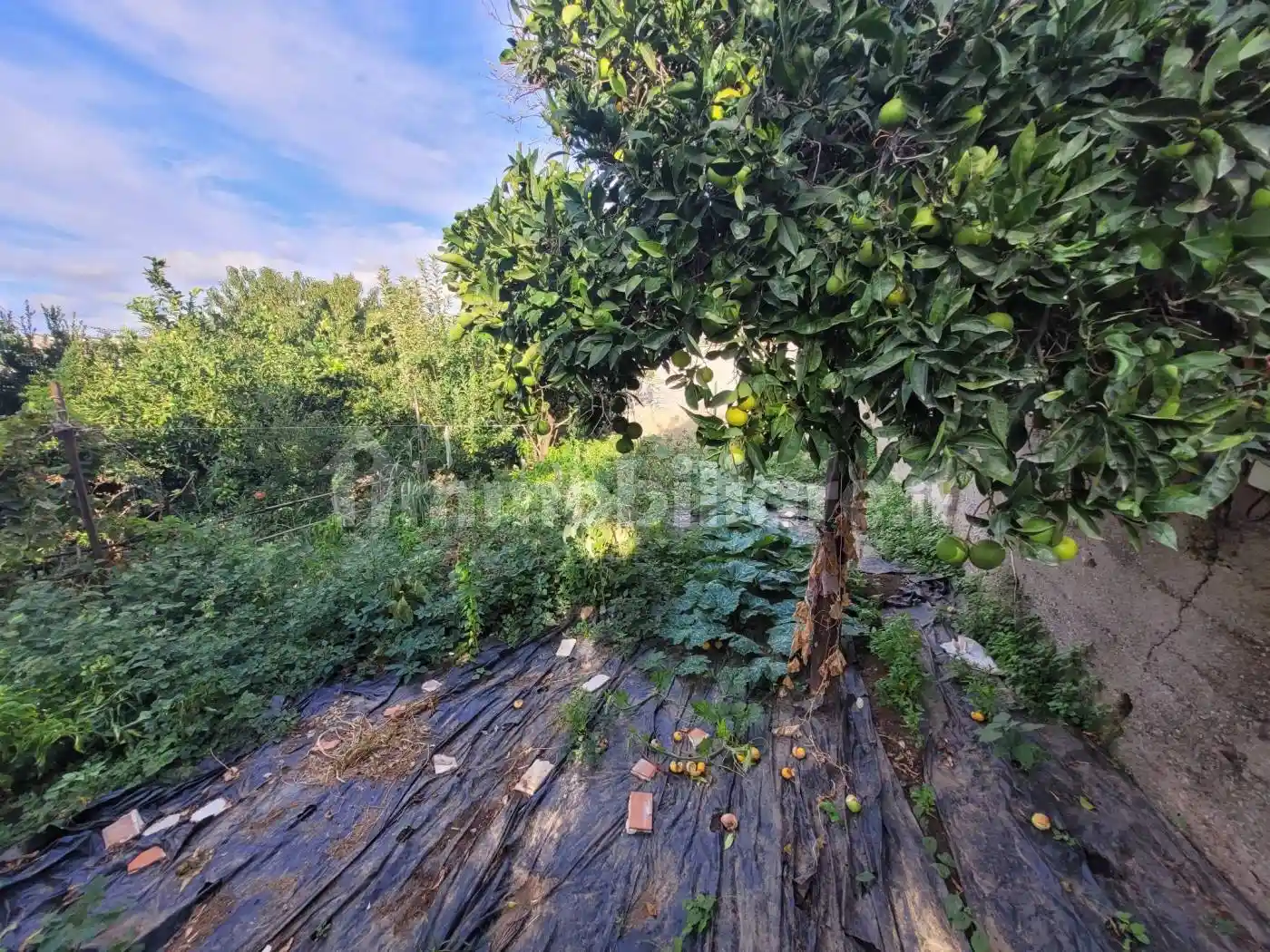 Appartamento in vendita a Reggio Calabria