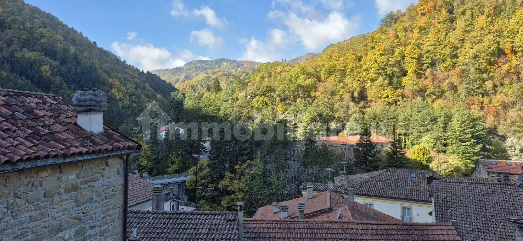 Casa indipendente in vendita a Premilcuore