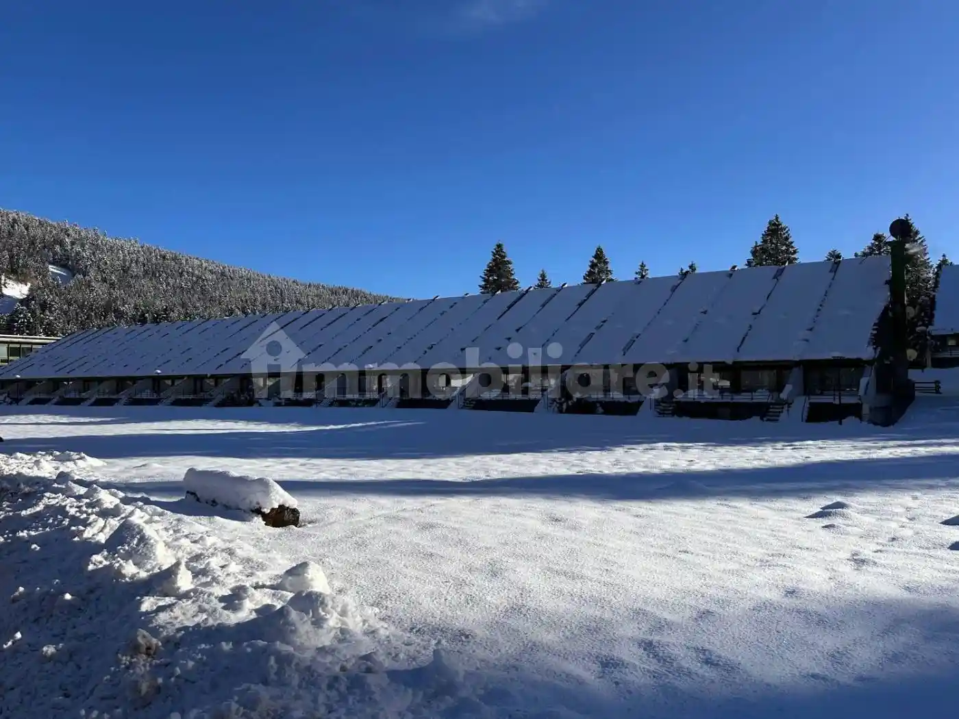 Appartamento in affitto a Lavarone