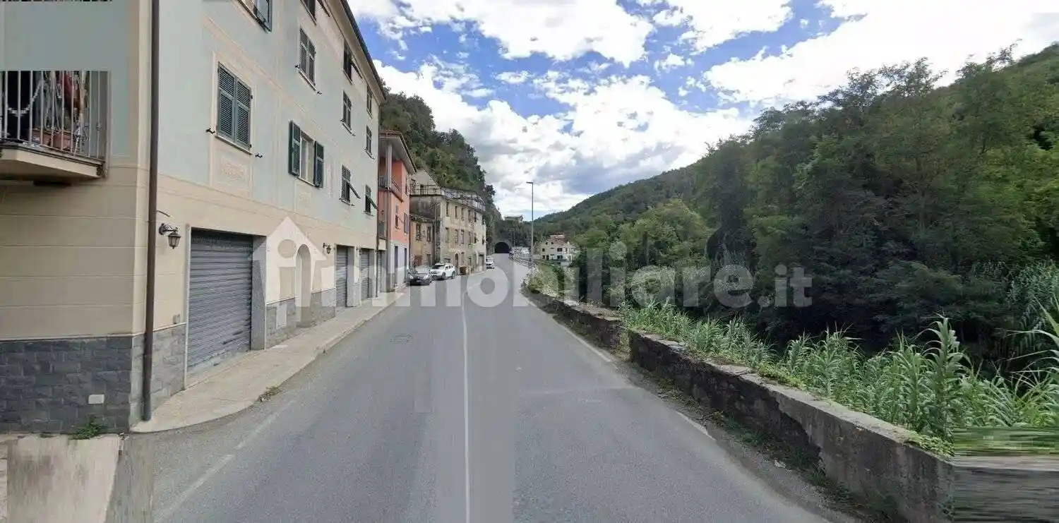 Rustico - Casale in vendita a Ne