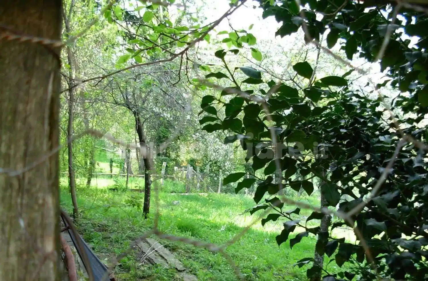 Rustico - Casale in vendita a Tornolo