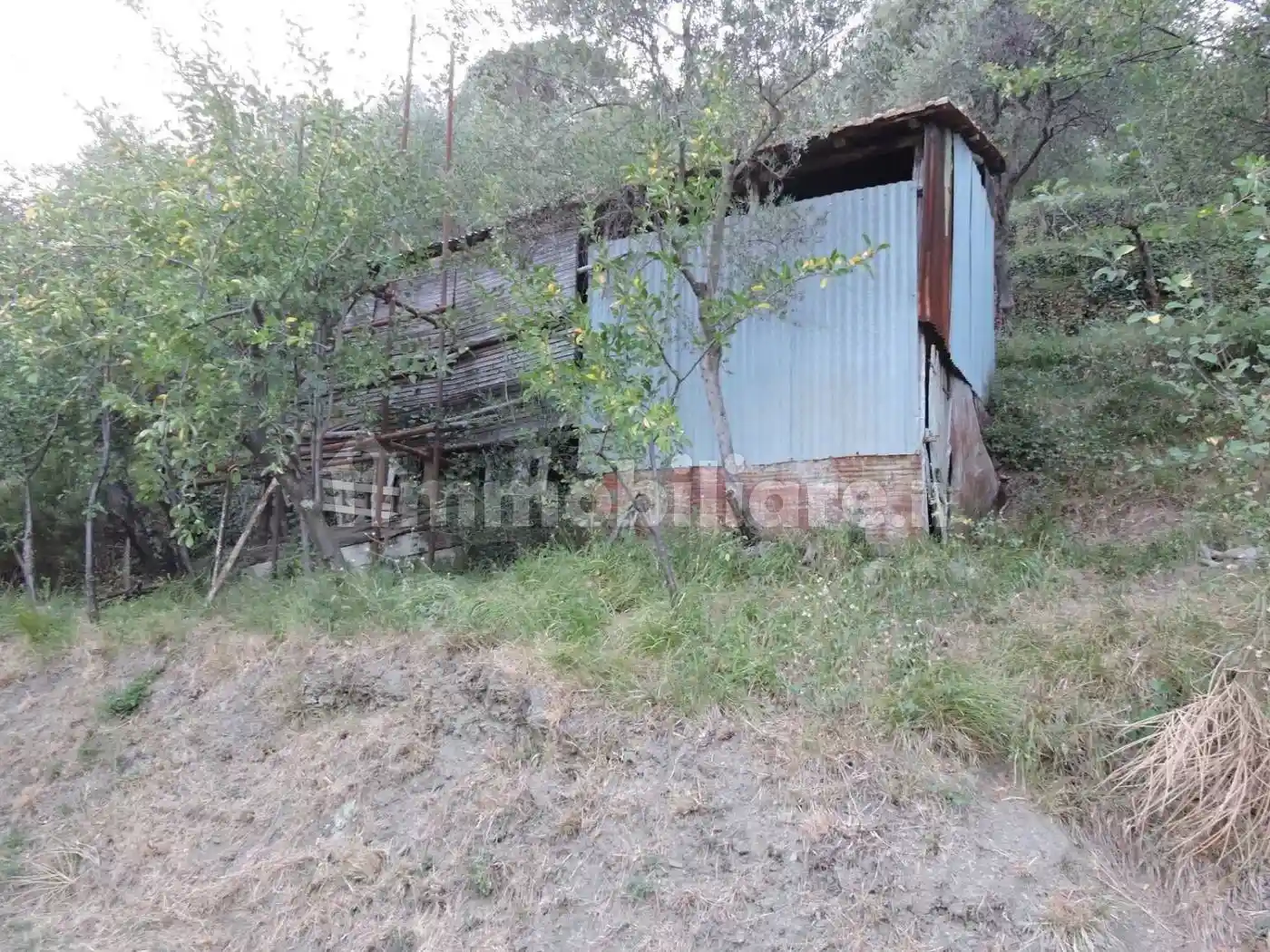 Rustico - Casale in vendita a Castiglione Chiavarese